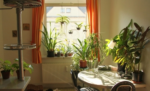 Do you know how to arrange things properly as per vastu in your home.